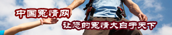 公司资质证书
